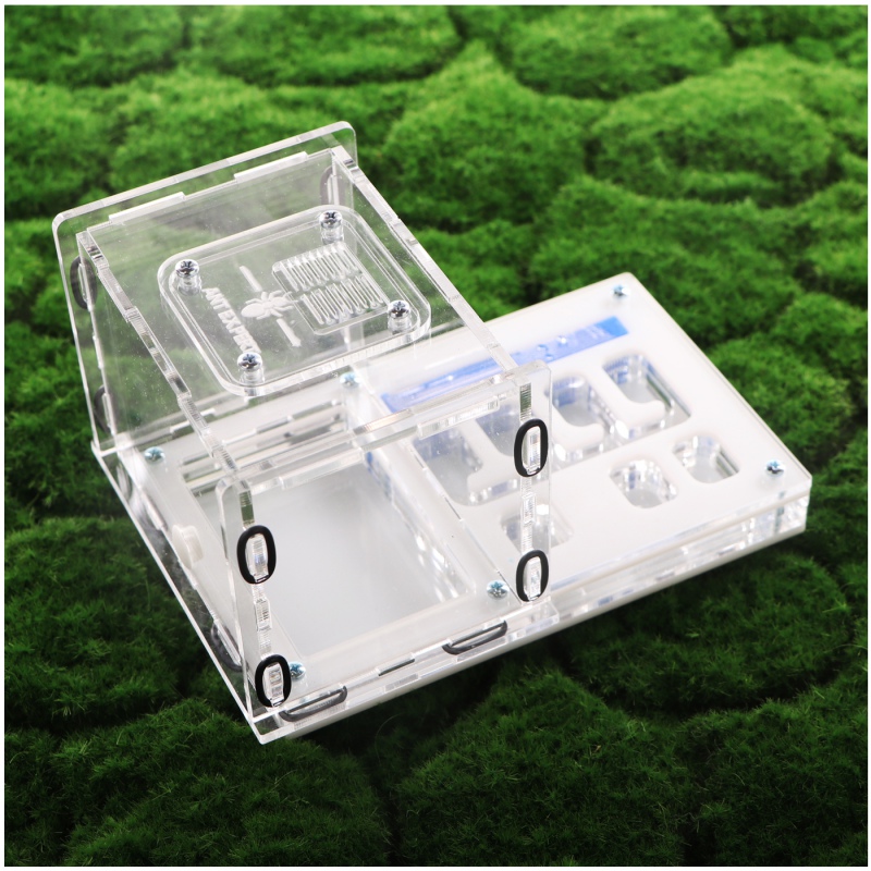 Ant Expert Lost Tunnels - professional acrylic formicarium